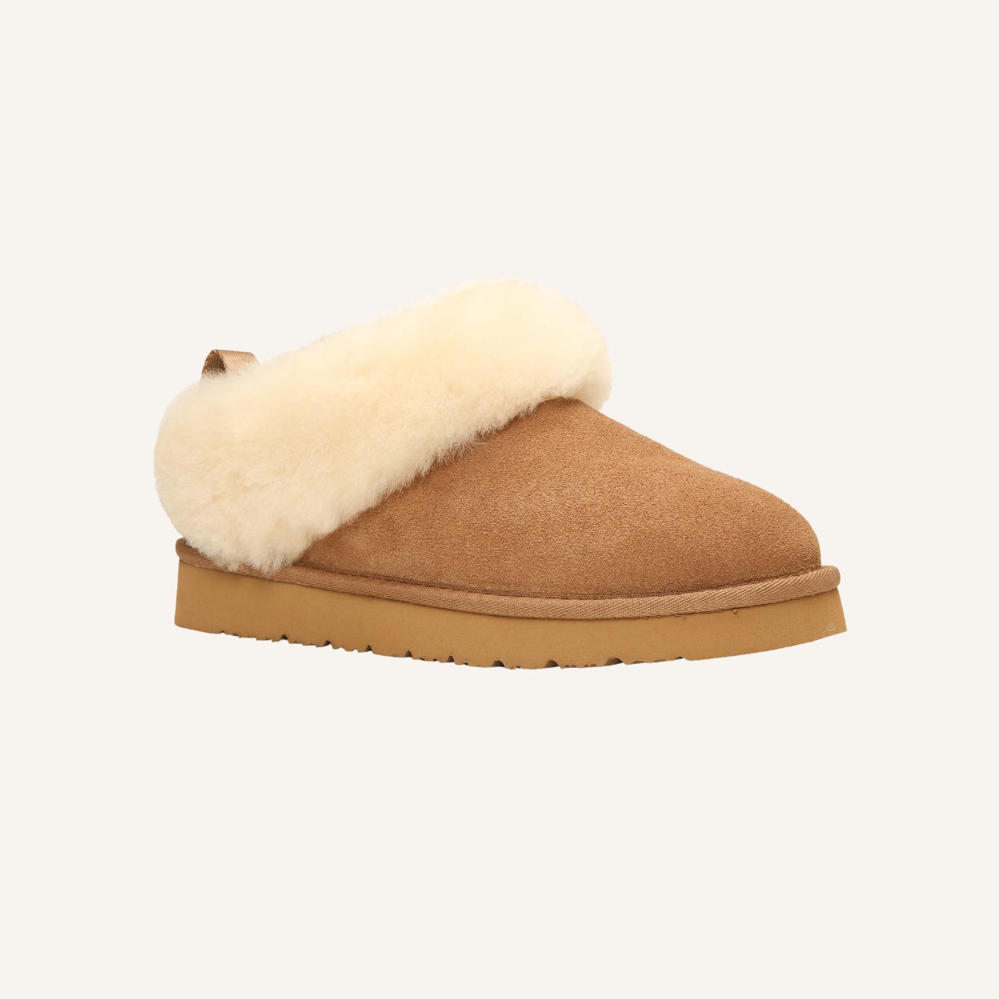 Ugg Shelly