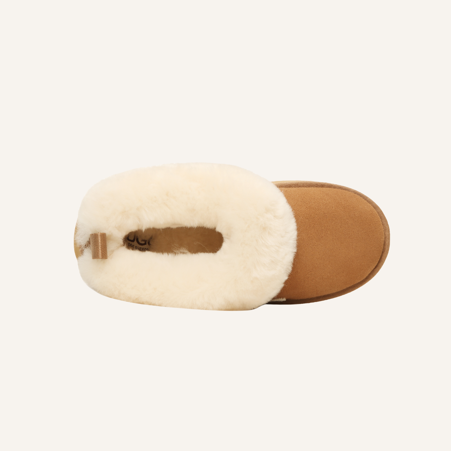 UGG Shelly platform
